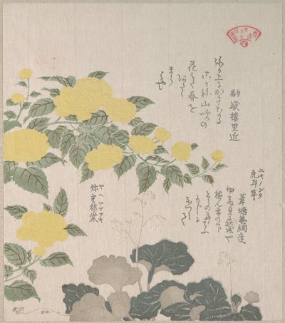  作： Kubo Shunman