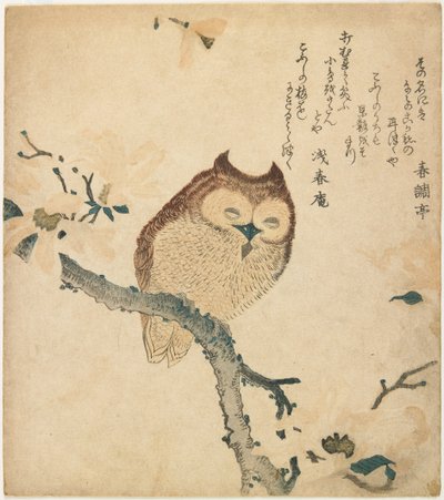  作： Kubo Shunman