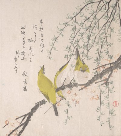 メジロと梅と柳… 1810年。 作： Kubo Shunman