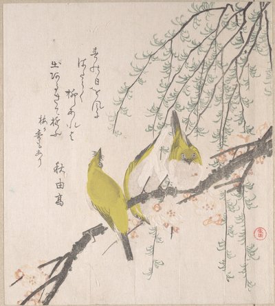  作： Kubo Shunman