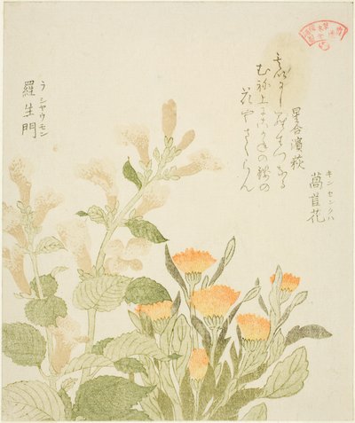 かすみ詩の輪～マリーゴールド（金泉花）と羅生門の花～ 作： Kubo Shunman