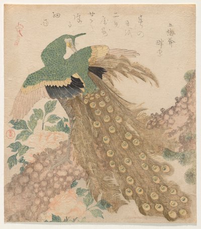 Of Three Pieces [Peacock] (三平の内) 作： Kubo Shunman