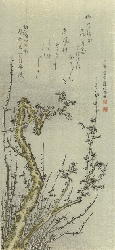 古い梅の木、1796年。 作： Kubo Shunman
