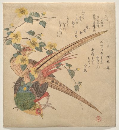 キジのつがいと山吹の花の枝 作： Kubo Shunman