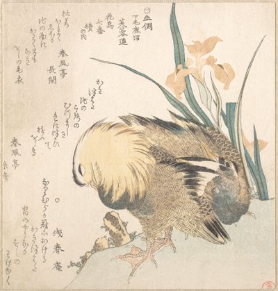  作： Kubo Shunman