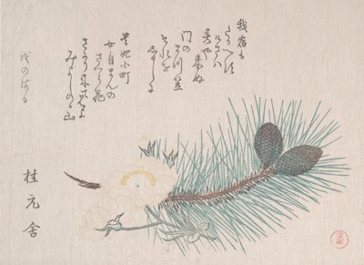 松と桜」1814年頃 作： Kubo Shunman