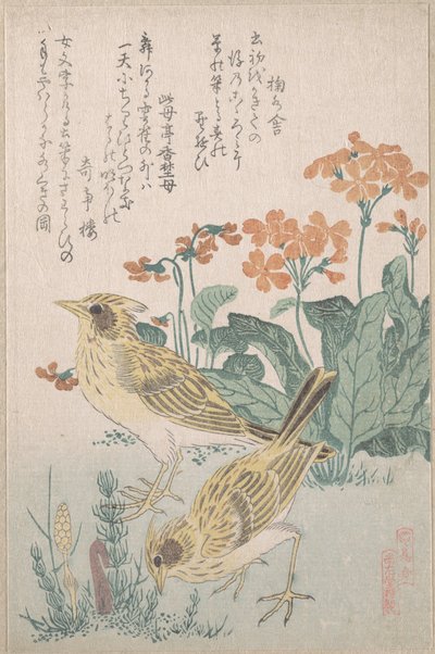 作： Kubo Shunman