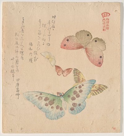 蝶の群れの絵付けマニュアル（群鳥？画風） 作： Kubo Shunman