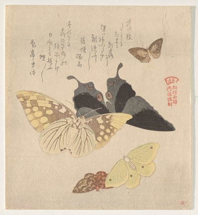 蝶の群れの絵付けマニュアル（群鳥？画風） 作： Kubo Shunman