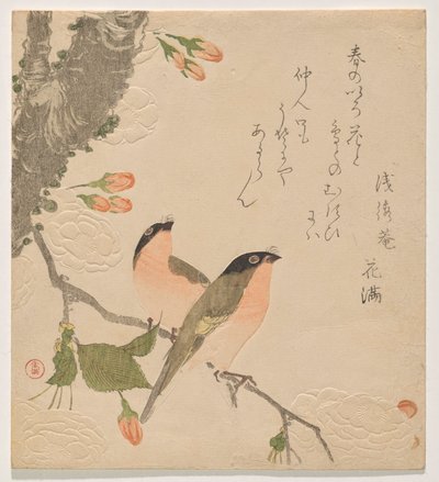 八重桜（うそにやえざくら） 作： Kubo Shunman