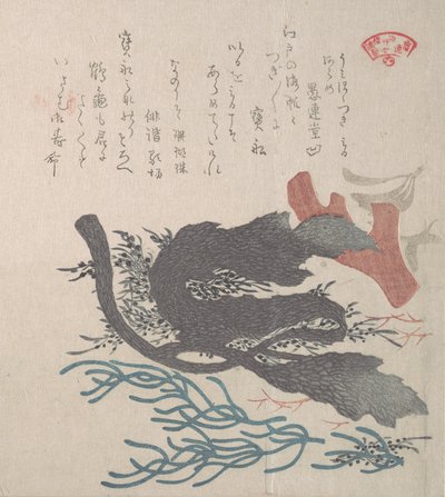 様々な海藻 19世紀 作： Kubo Shunman