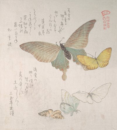様々な蛾や蝶 19世紀 作： Kubo Shunman