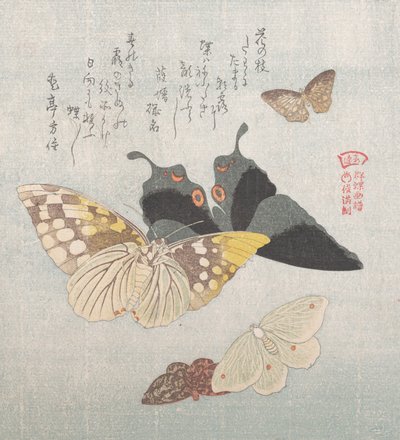 様々な蛾や蝶 19世紀 作： Kubo Shunman
