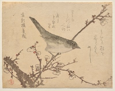 梅の枝にウグイス 作： Kubo Shunman