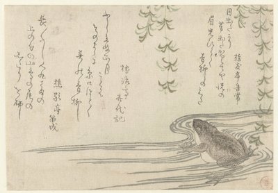 柳の木の下のカエル 作： しょうゆておとつね