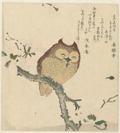 マグノリアの枝のフクロウ 作： しゅんちょてい