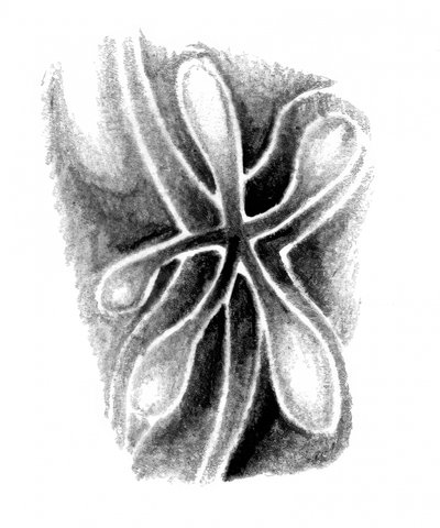  作： 