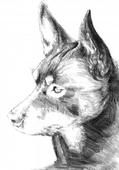  作： 