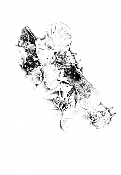  作： 