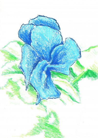  作： 