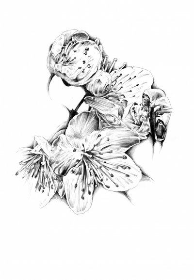  作： 