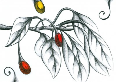 作： 