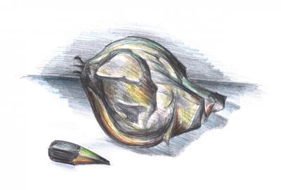  作： 