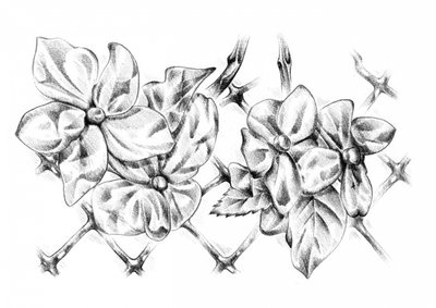  作： 