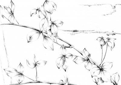  作： 