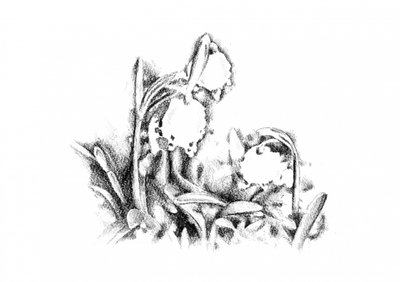  作： 