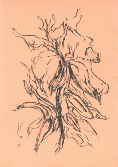  作： 