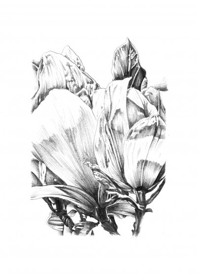  作： 