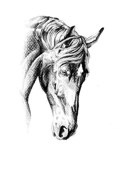  作： 