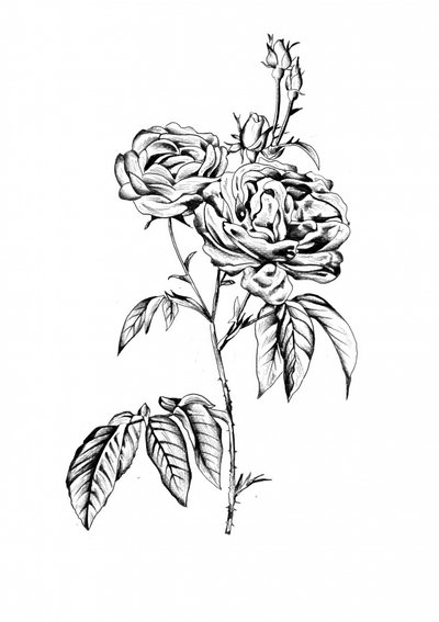  作： 