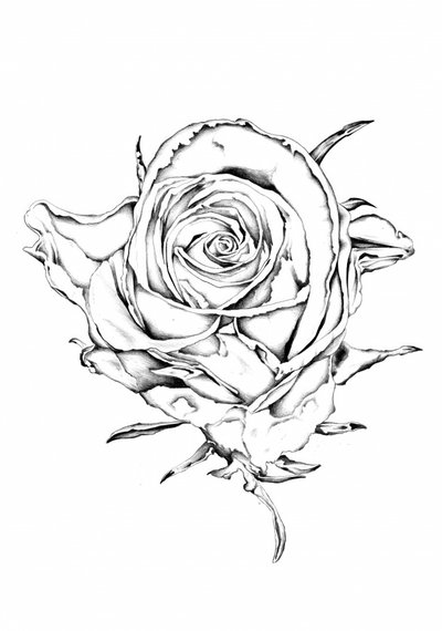  作： 