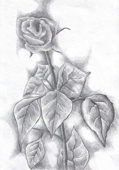  作： 