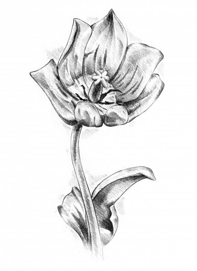 作： 