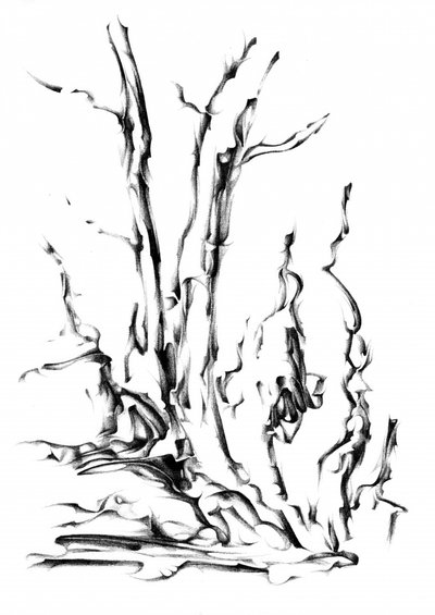  作： 
