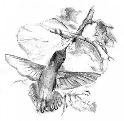  作： 
