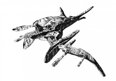 作： Kulik