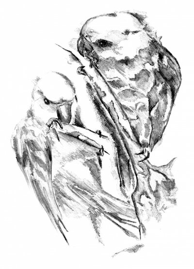  作： 