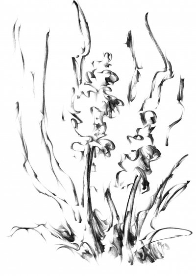  作： 