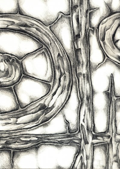  作： 