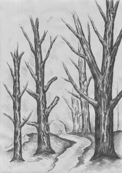  作： 