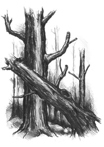  作： Kulik