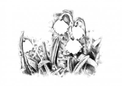  作： 