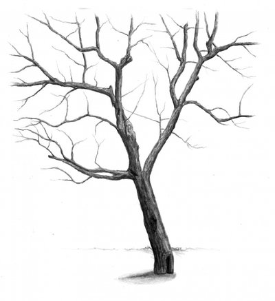  作： 