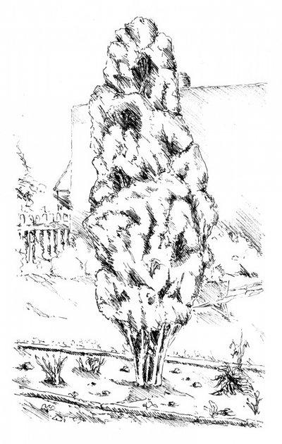  作： 