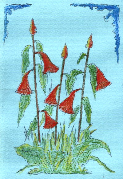  作： 