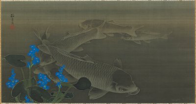 鯉 江戸時代・19世紀初頭 作： Kuroda Toko